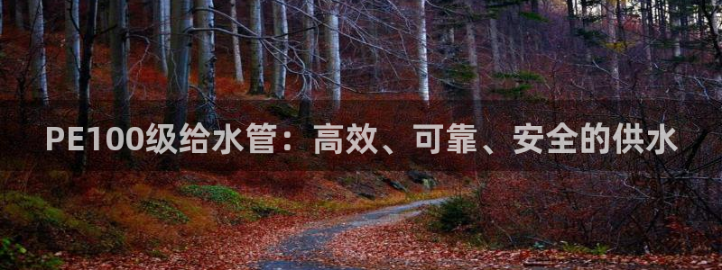 威九国际网站人入口