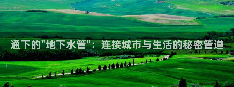 威九国际免费ppt网址