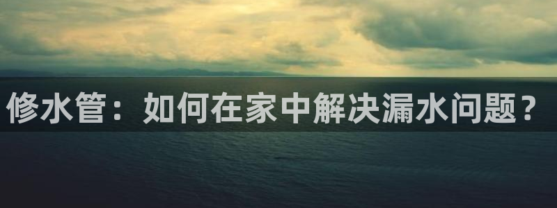 威九国际官方网站