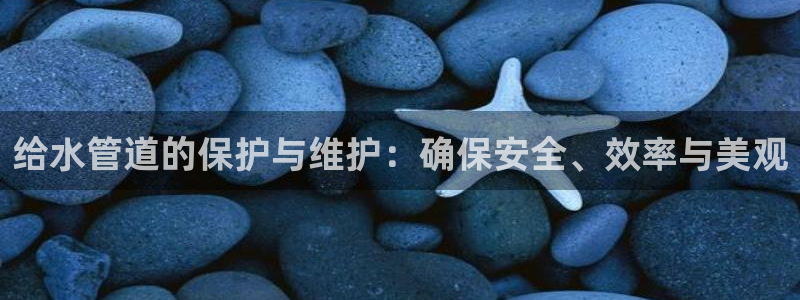 威九国际66m官网版