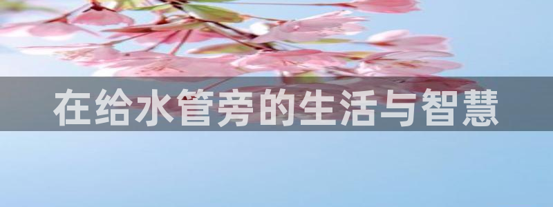 威九国际78m域名