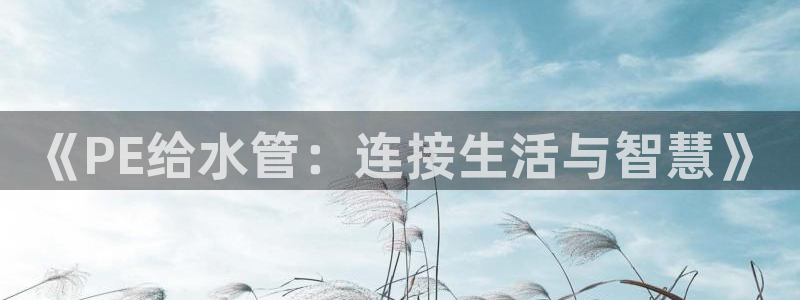 威九国际可以提现吗现在