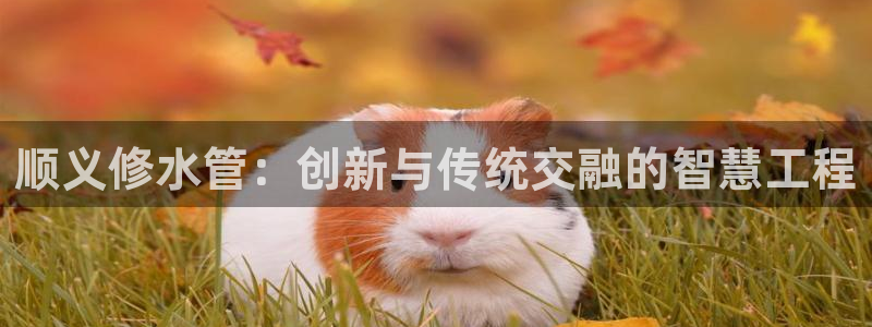 威九国际空降服务怎么样