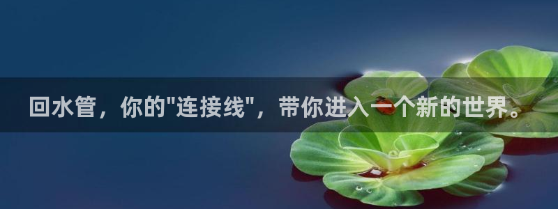 威九国际78m78下载