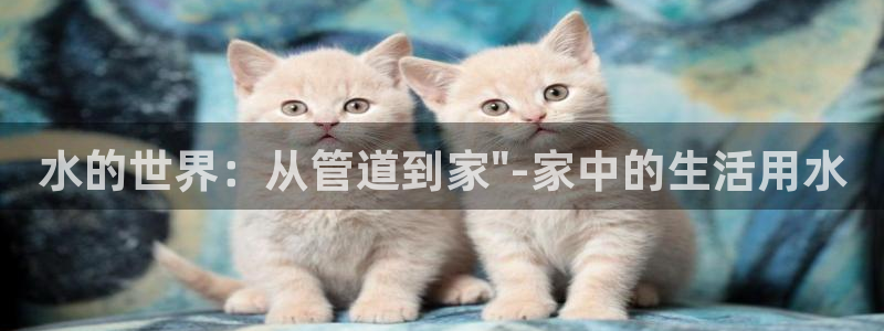 威九国际78m域名