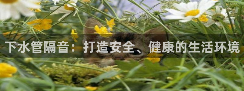 威九国际真人玩家在线对战