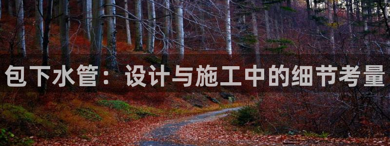 威九国际空降视频