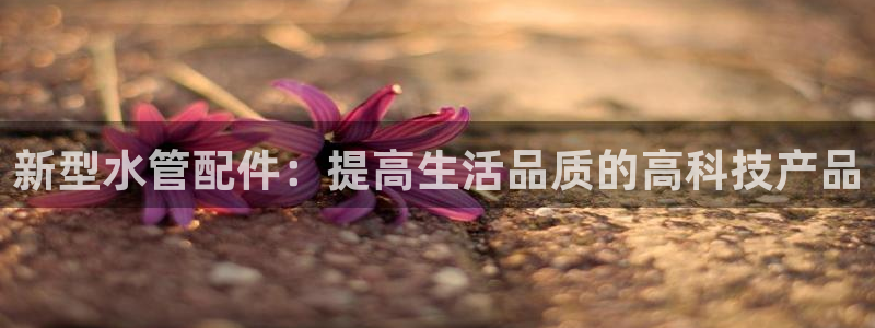 78mapp威九国际成全视频