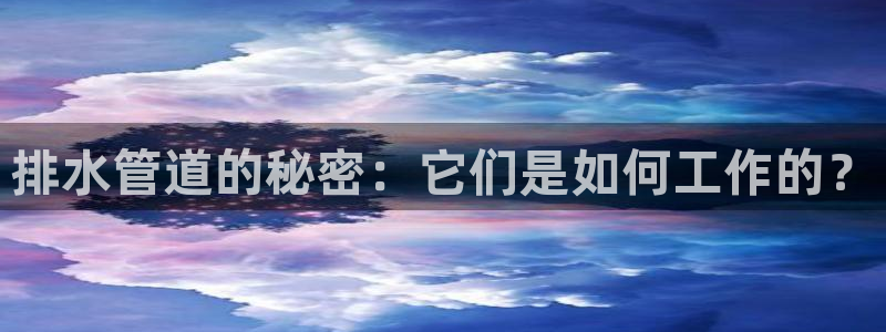 威九国际旗下艺人