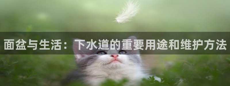 威九国际成长模式