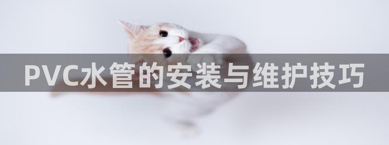 威九国际网站进入客服中心了吗