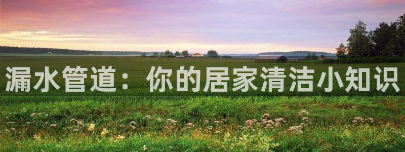 66m威九国际成长模式