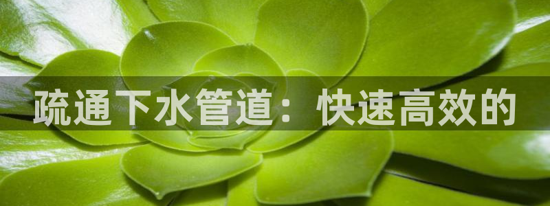 威九国际女演员名单介绍