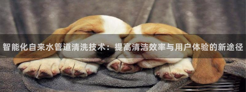 威九国际网站是多少