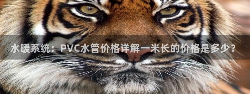 78.m威九国际官网版