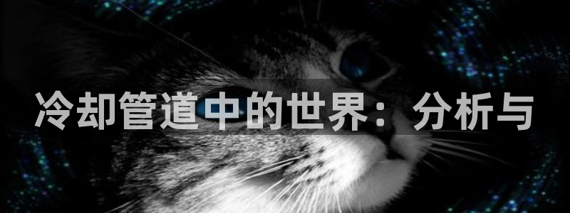 78.m威九国际官网版