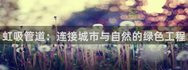 威九国际网站进入产品中心怎么进