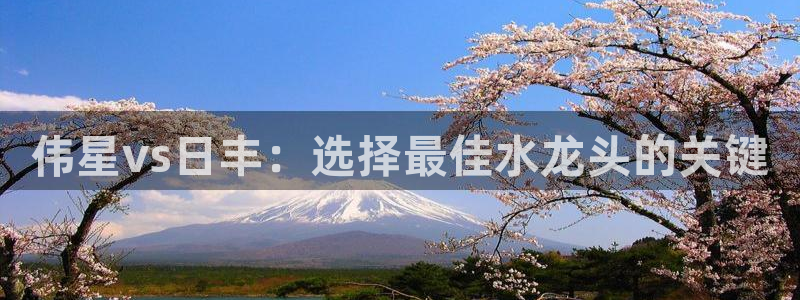 威九国际APP客服