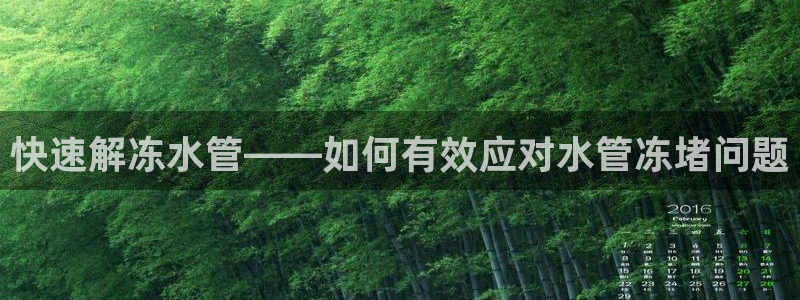 威九国际免费游戏