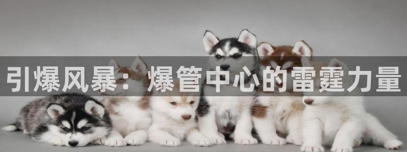 威九国际清砖码