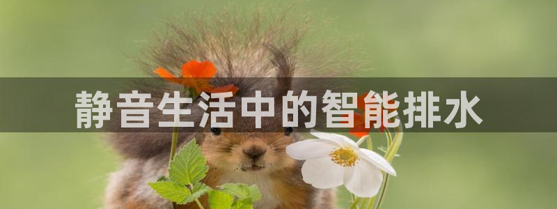 威九国际风情万种