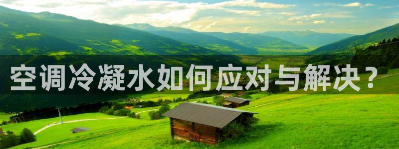 威九国际最近的视频