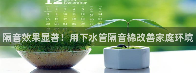 威九国际狂飚电影