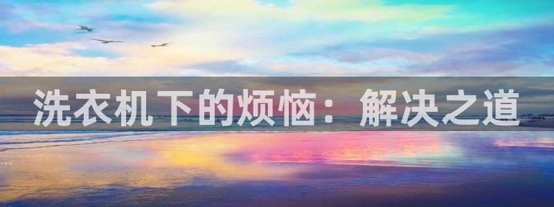 威九国际客服电话