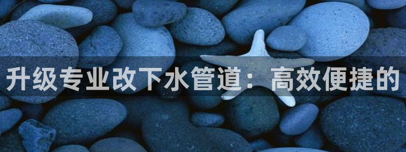 威九国际精免费下载