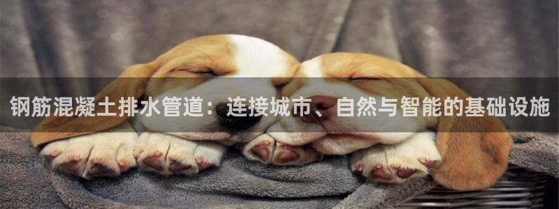 威九国际国精彩片段