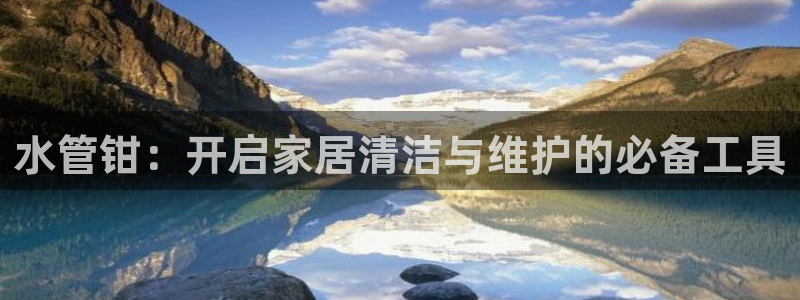 威九国际APP那个地方