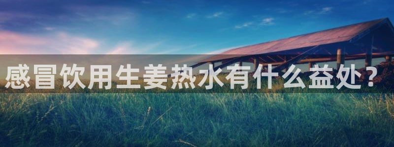 威九国际网站入口官网首页登录