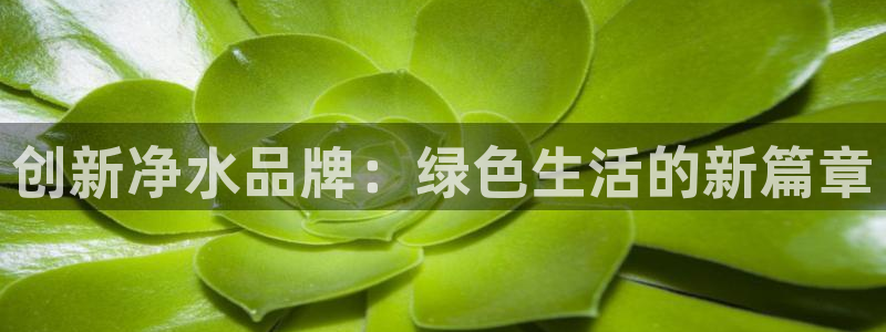 威九国际网站入口地址查询