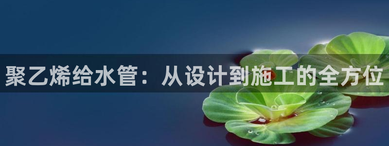 威九国际网站进入(中国)有限公司-官网