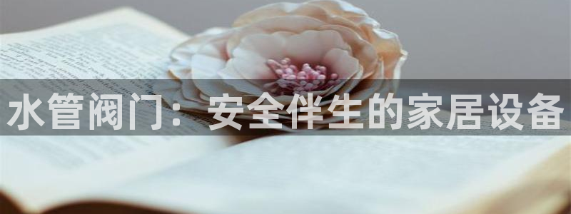 威九国际官网登录入口网站