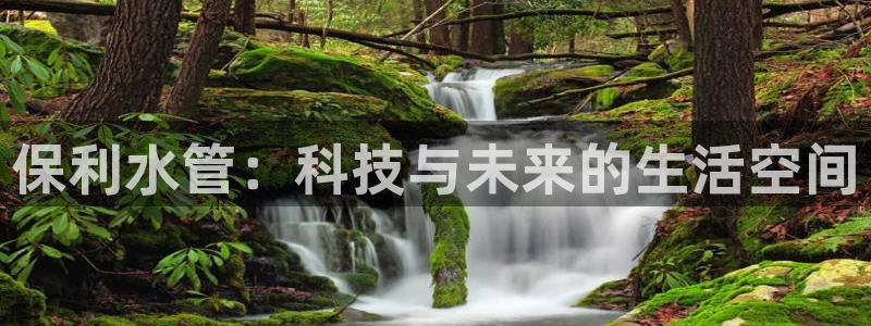 威九国际网站传媒