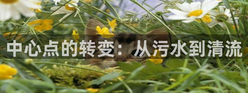 威九国际黄威尼斯