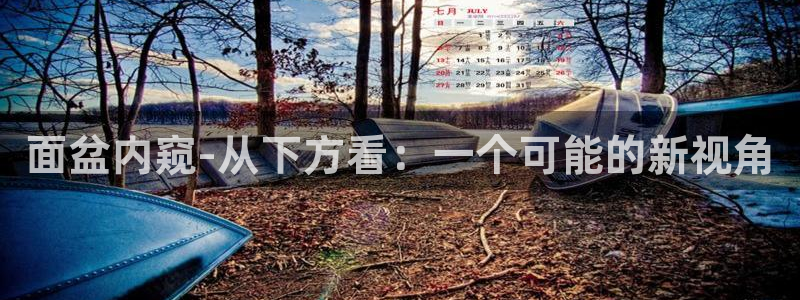 威九国际78免下载