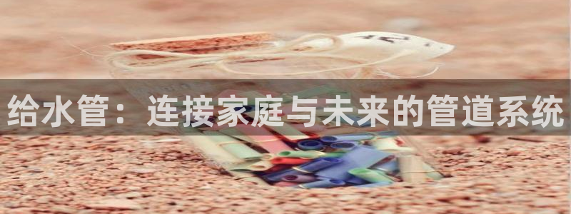 威九国际的金融服务有哪些