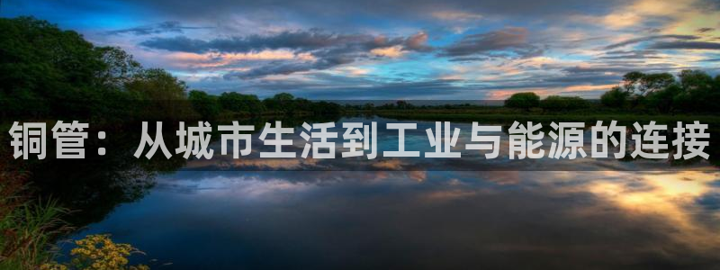 威九国际78免下载