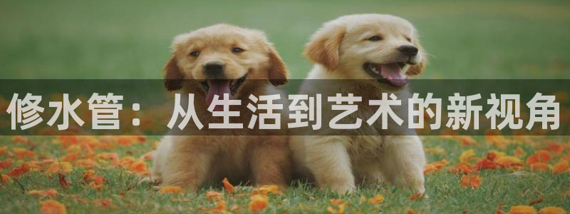 78mapp威九国际神曲口服液