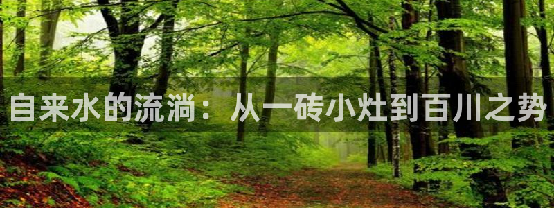 威九国际网站人入口